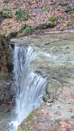 Klingen und Schluchten im Welzheimer Wald