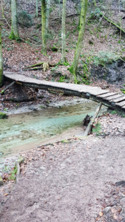 Klingen und Schluchten im Welzheimer Wald