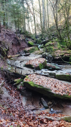 Klingen und Schluchten im Welzheimer Wald